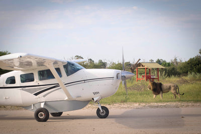 Mik's Destinations Tip - Fly-In Safari: The Highflyer