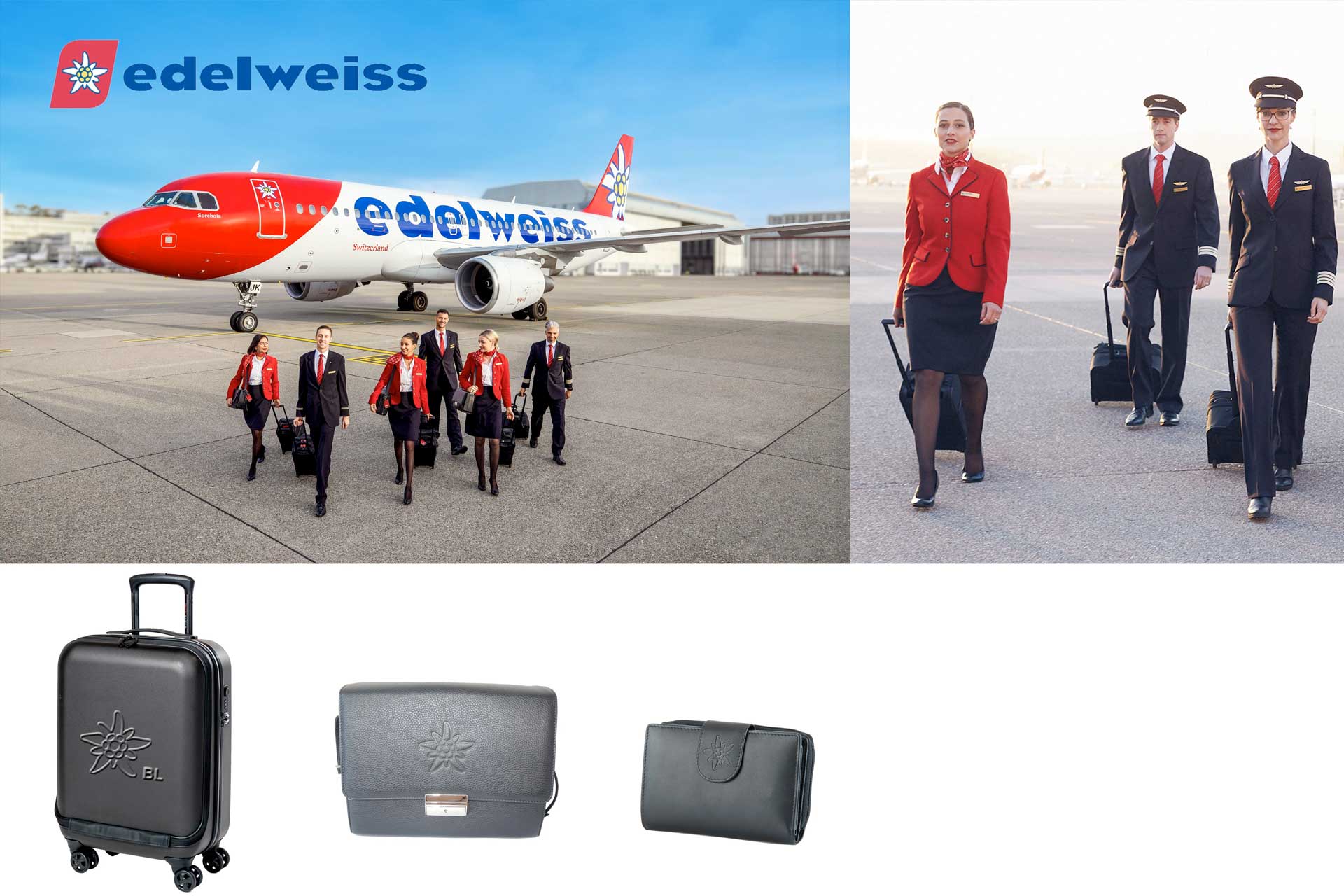 Pack Easy B2B Partner - Edelweiss