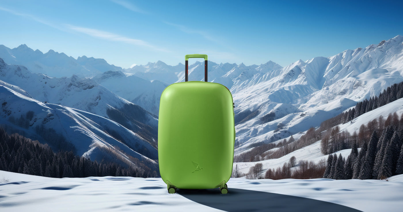 4er-Set Kofferraumtasche mit Kühlfach, grau, mit 3 Fächern, faltbar - Ihr  Elektronik-Versand in der Schweiz